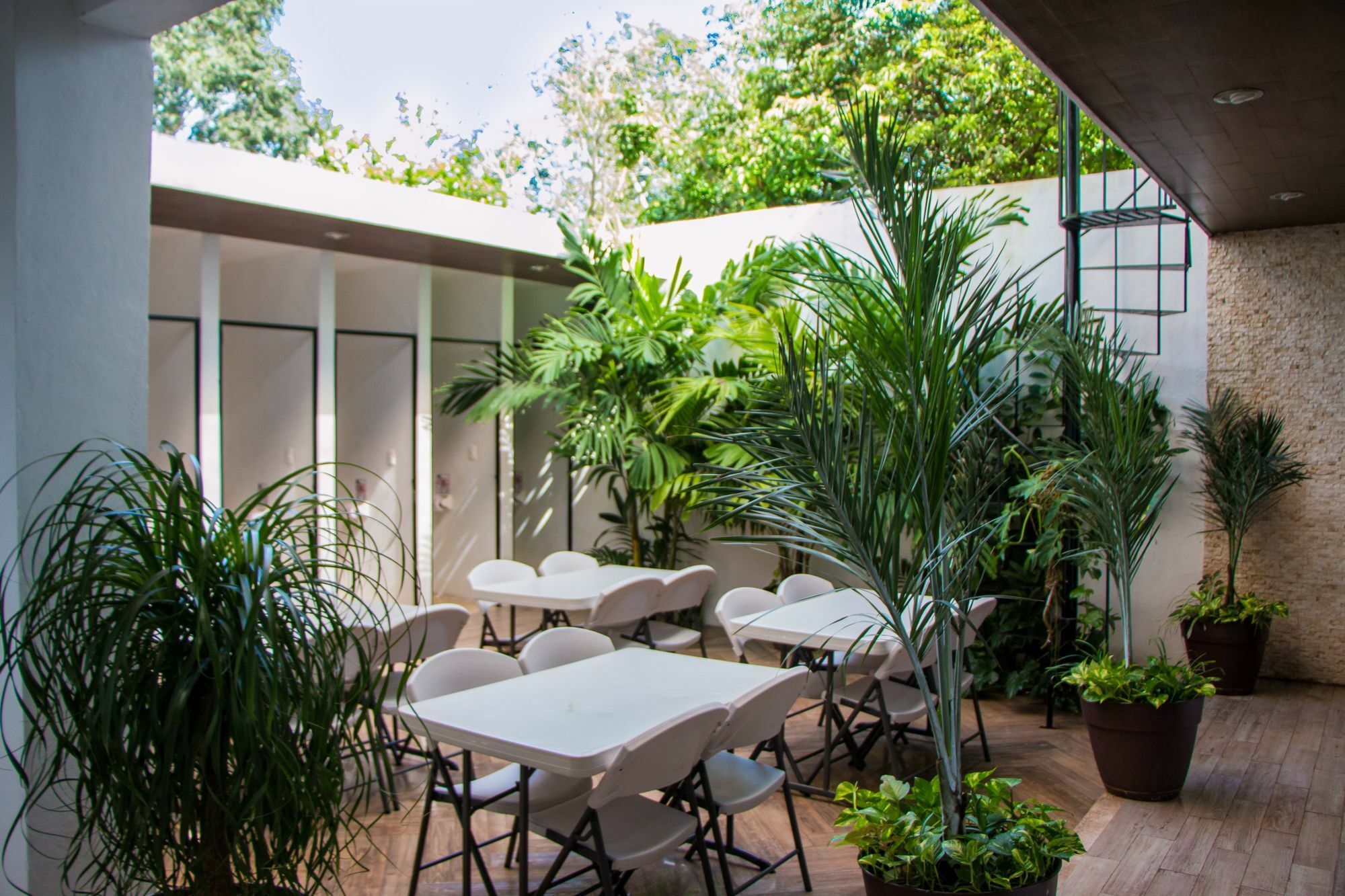 Hostal Gayser Valladolid (Yucatan) Exterior foto