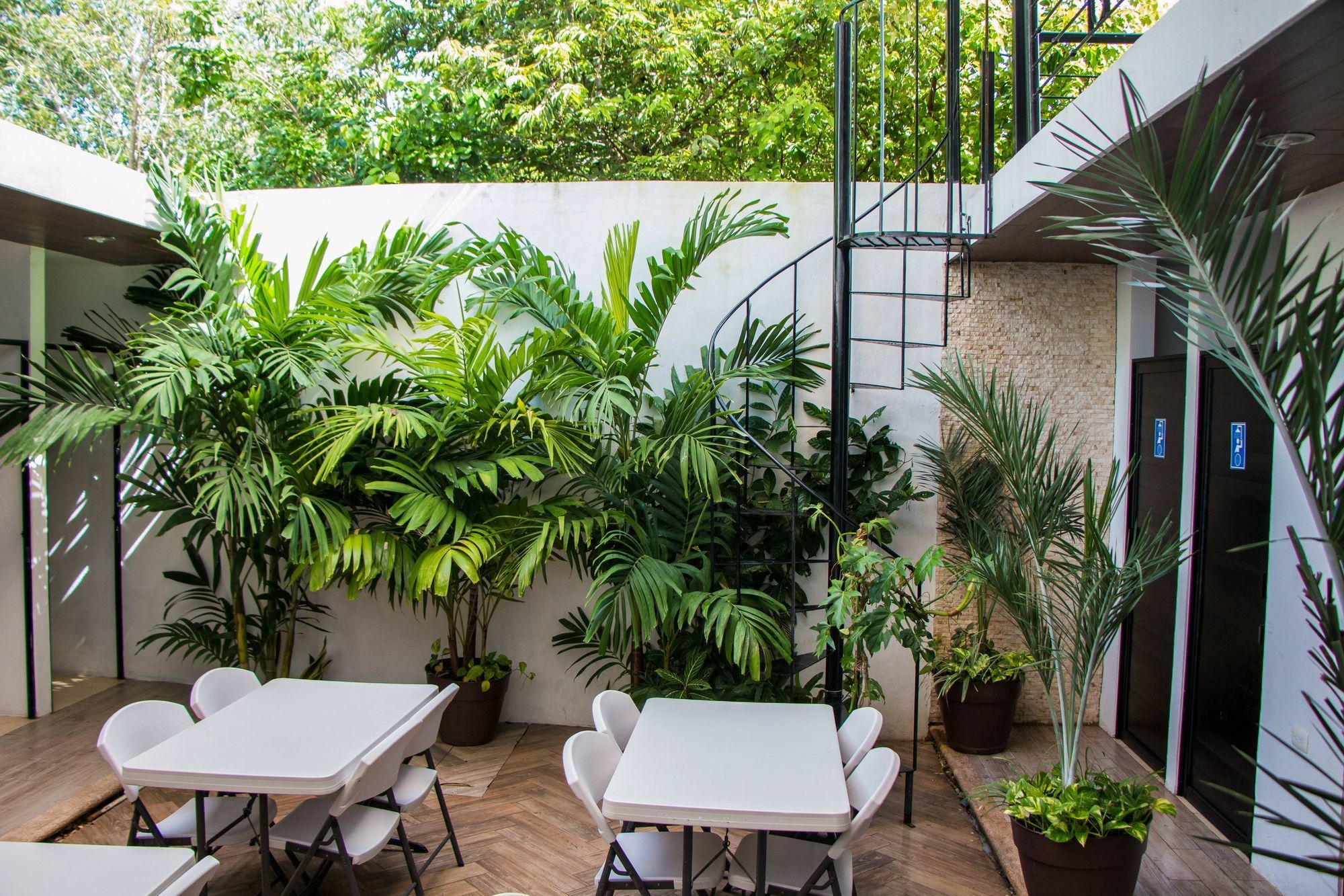 Hostal Gayser Valladolid (Yucatan) Exterior foto
